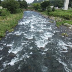 狩野川(狩野川漁業協同組合) 釣果