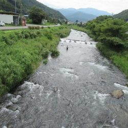 狩野川(狩野川漁業協同組合) 釣果