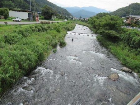 狩野川(狩野川漁業協同組合) 釣果