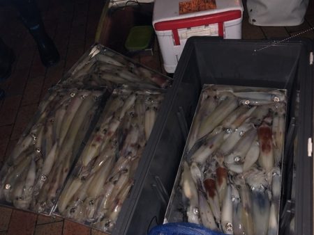 幸風（さちかぜ） 釣果