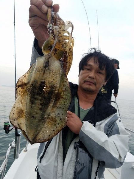 Magic(マジック) 釣果