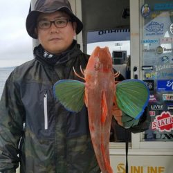 遊漁船　ニライカナイ 釣果