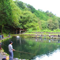 小菅トラウトガーデン 釣果