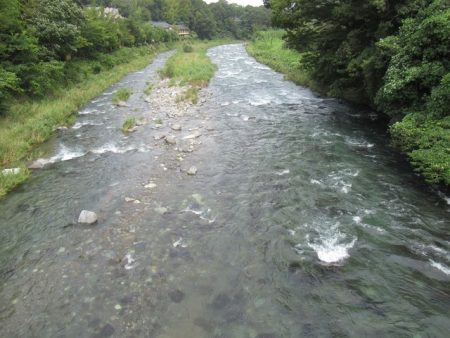 狩野川(狩野川漁業協同組合) 釣果