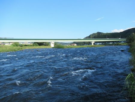 狩野川（狩野川漁業協同組合） 釣果
