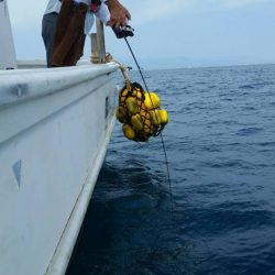 第五慶門丸 釣果