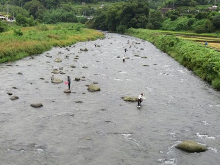 狩野川（狩野川漁業協同組合） 釣果