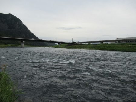 狩野川（狩野川漁業協同組合） 釣果