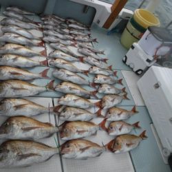 遊漁船 幸友丸 釣果