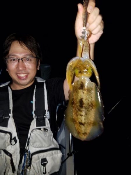 Magic（マジック） 釣果