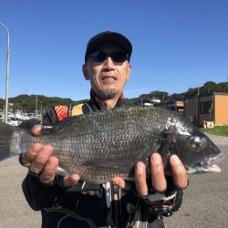 由良渡船 釣果