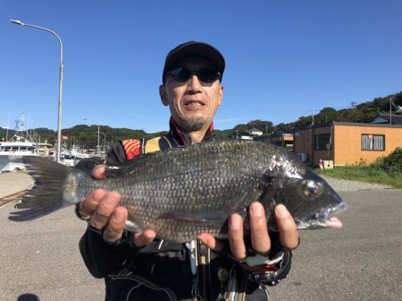 由良渡船 釣果