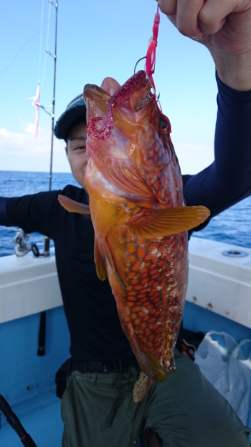 海晴丸 釣果
