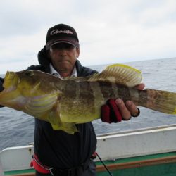 真祐丸 （しんゆうまる） 釣果