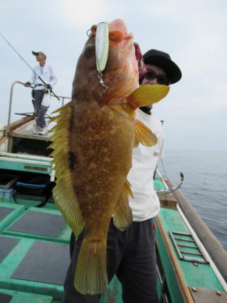 真祐丸 （しんゆうまる） 釣果