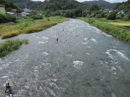 狩野川(狩野川漁業協同組合) 釣果