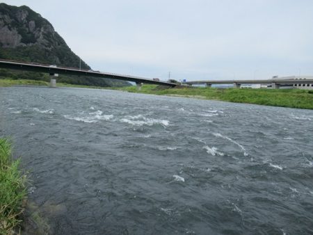 狩野川(狩野川漁業協同組合) 釣果