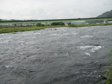 狩野川（狩野川漁業協同組合） 釣果
