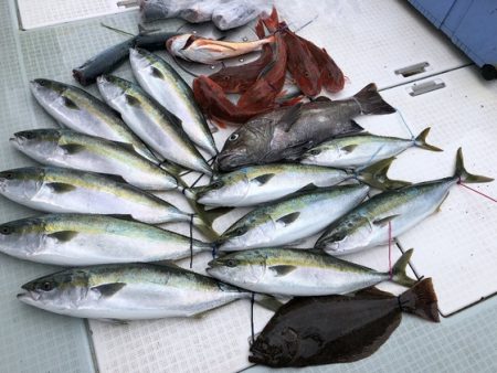 ふじしめ丸 釣果