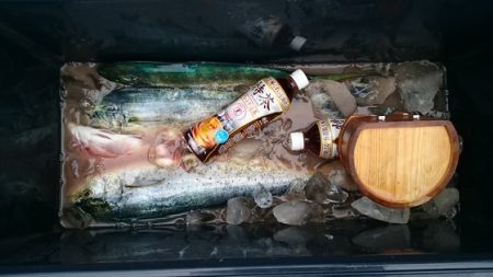 大進丸(新潟) 釣果