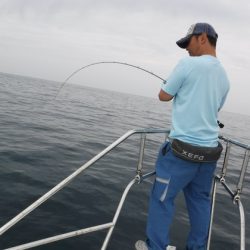 BlueNote Fishing Taxi 釣果
