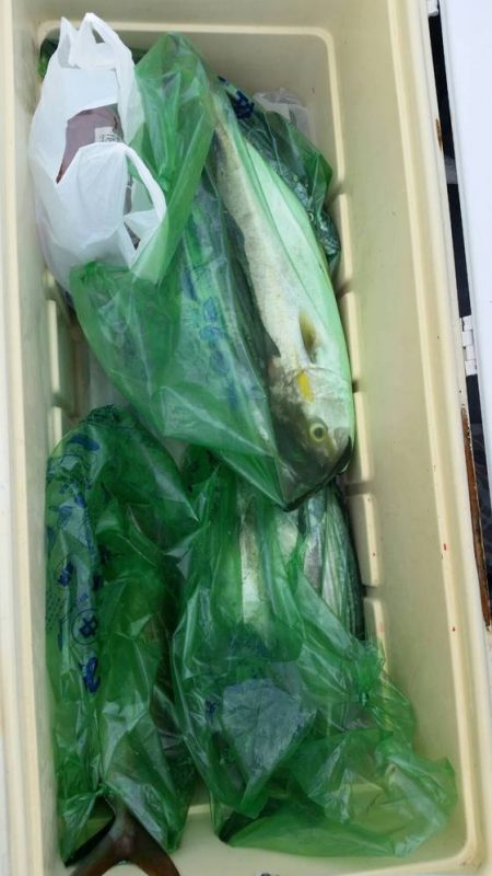 第五慶門丸 釣果