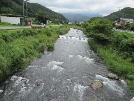 狩野川(狩野川漁業協同組合) 釣果
