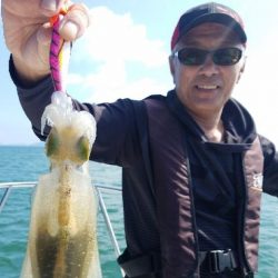 Magic（マジック） 釣果