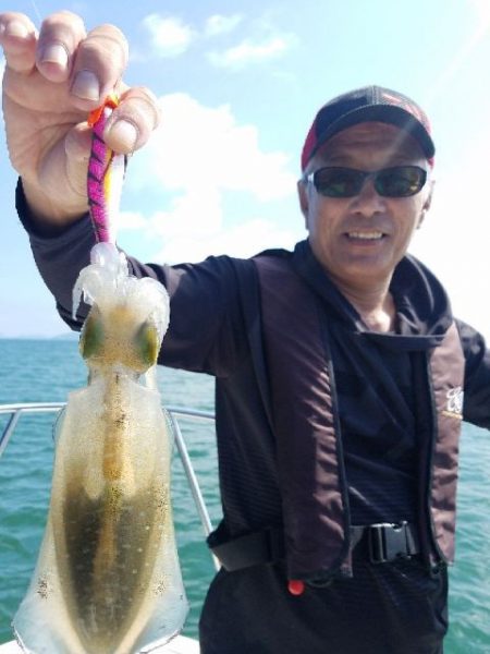 Magic（マジック） 釣果