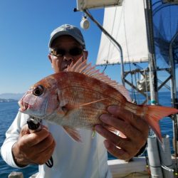 遊漁船 ニライカナイ 釣果