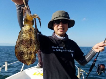 Magic（マジック） 釣果