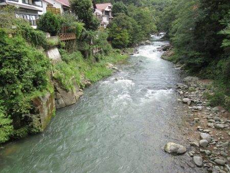 狩野川(狩野川漁業協同組合) 釣果