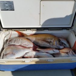 遊漁船 ニライカナイ 釣果