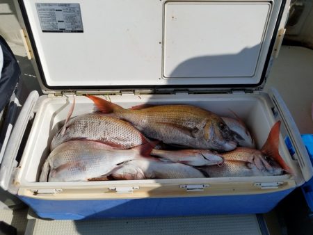 遊漁船 ニライカナイ 釣果