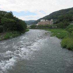 狩野川(狩野川漁業協同組合) 釣果