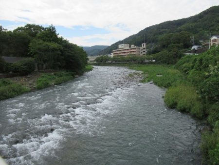 狩野川(狩野川漁業協同組合) 釣果