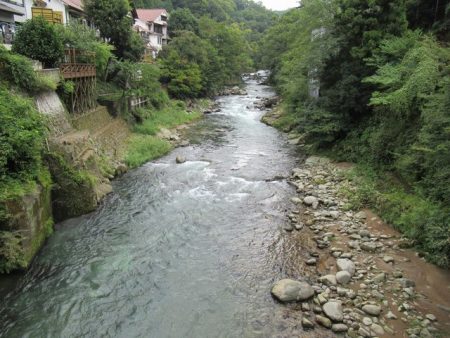 狩野川(狩野川漁業協同組合) 釣果