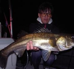 シーマジカル 釣果