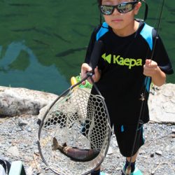 小菅トラウトガーデン 釣果