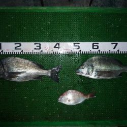 海山フィッシングセンター 釣果