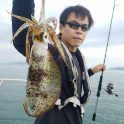 Magic(マジック) 釣果