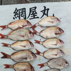 網屋丸 釣果