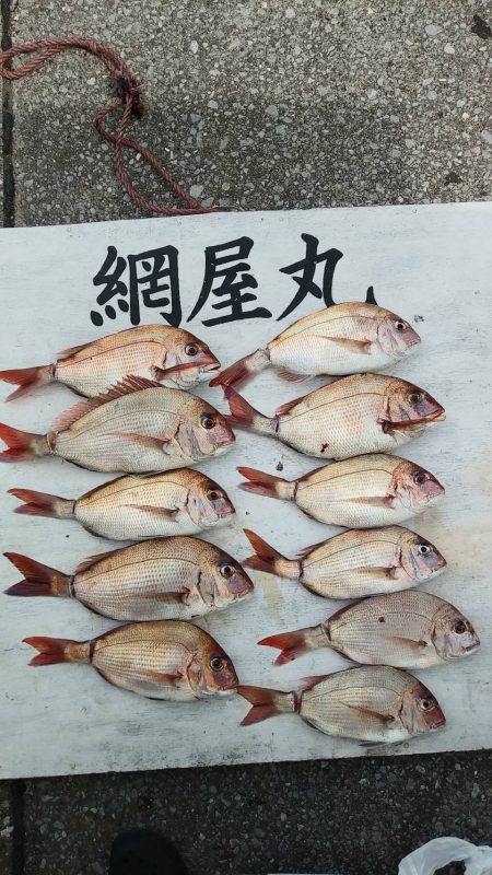 網屋丸 釣果