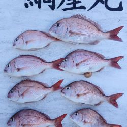 網屋丸 釣果