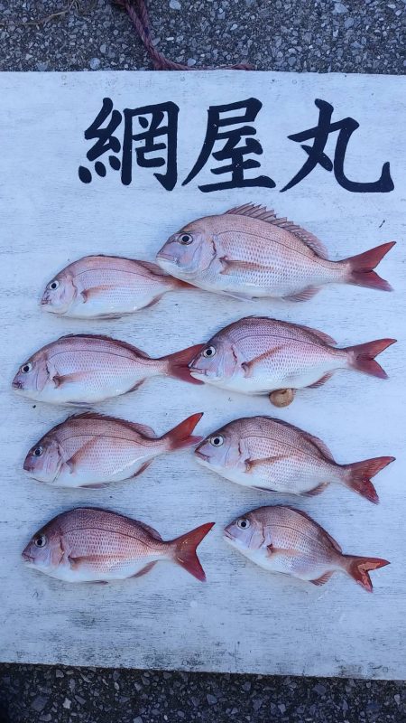 網屋丸 釣果
