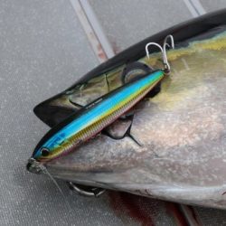 へいみつ丸 釣果