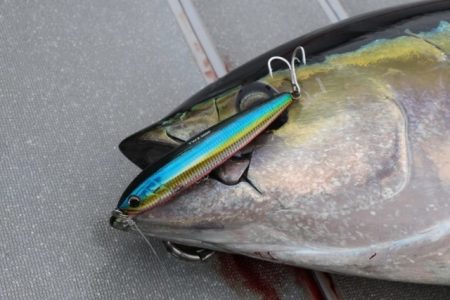 へいみつ丸 釣果