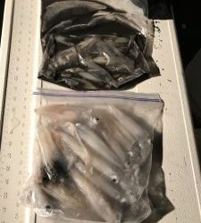 さぶろう丸 釣果