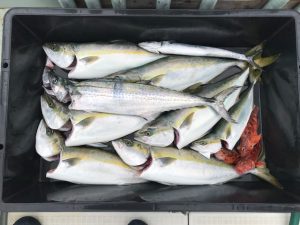 さぶろう丸 釣果