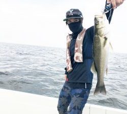 THESEAMAN(ザシーマン) 釣果